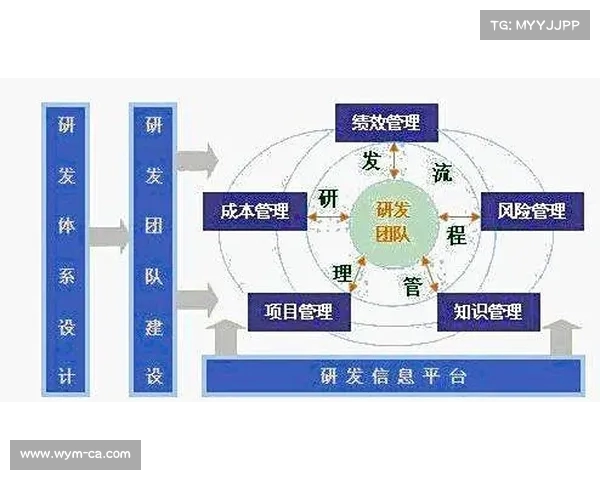 足球俱乐部转会合同管理流程与风险控制研究