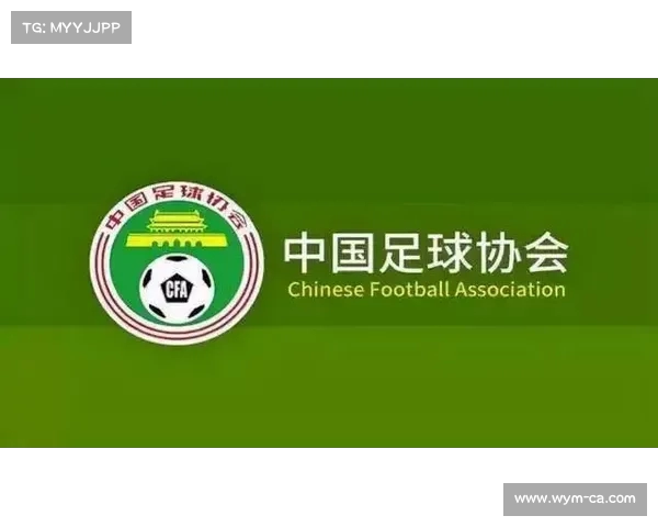 足球俱乐部引援资金投入分析及其对球队竞争力的影响