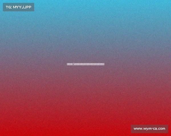 英雄联盟S赛背后的传奇故事：那些不为人知的奋斗与荣耀