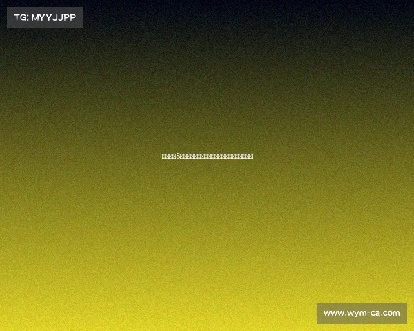 英雄联盟S赛背后的传奇故事：那些不为人知的奋斗与荣耀