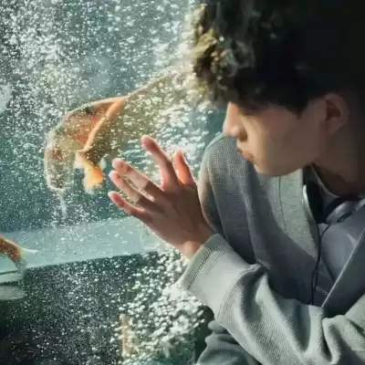 鄂娴淑